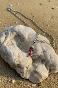Halsband Shallow med sjöglas och rörlig fisk, vit sten på sandbakgrund